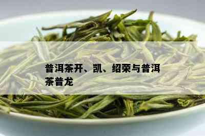 普洱茶开、凯、绍荣与普洱茶普龙