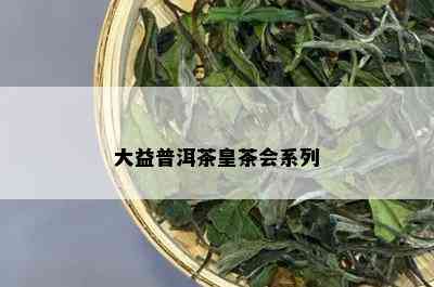 大益普洱茶皇茶会系列