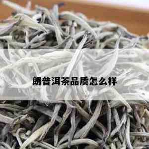 朗普洱茶品质怎么样