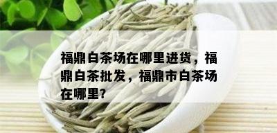 福鼎白茶场在哪里进货，福鼎白茶批发，福鼎市白茶场在哪里？