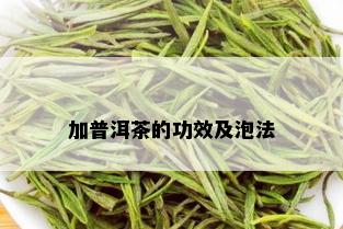 加普洱茶的功效及泡法