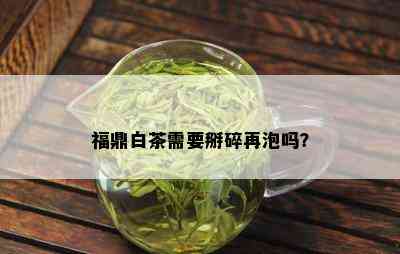 福鼎白茶需要掰碎再泡吗？