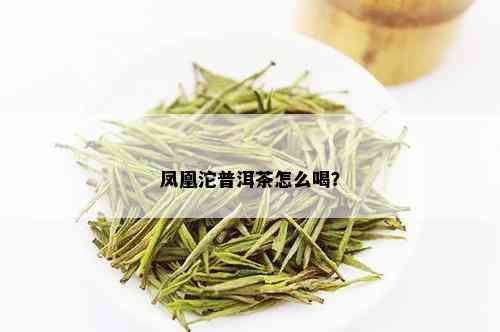 凤凰沱普洱茶怎么喝？