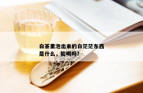 白茶里泡出来的白茫茫东西是什么，能喝吗？