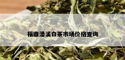 福鼎潘溪白茶市场价格查询