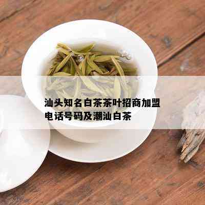 汕头知名白茶茶叶招商加盟电话号码及潮汕白茶