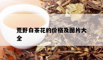 荒野白茶花的价格及图片大全