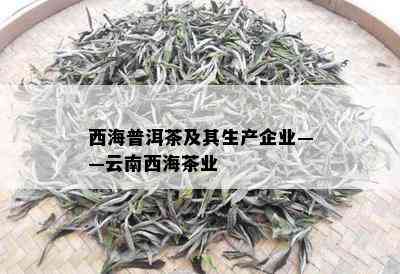 西海普洱茶及其生产企业——云南西海茶业