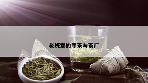 老班章的寻茶与茶厂