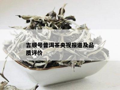 吉顺号普洱茶央视报道及品质评价