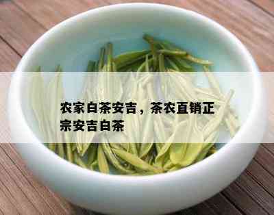 农家白茶安吉，茶农直销正宗安吉白茶