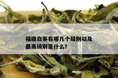 福鼎白茶有哪几个级别以及更高级别是什么？