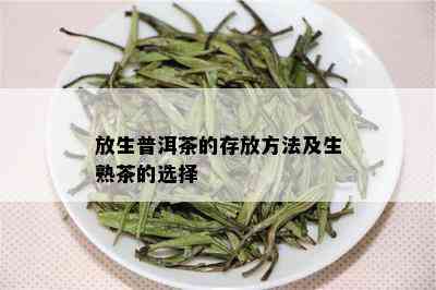 放生普洱茶的存放方法及生熟茶的选择