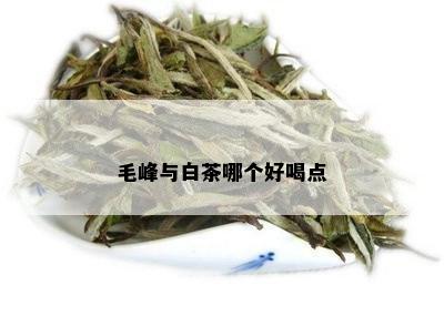 毛峰与白茶哪个好喝点