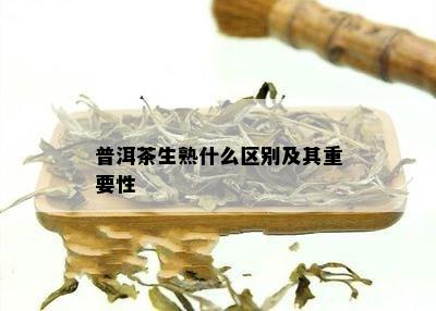 普洱茶生熟什么区别及其重要性