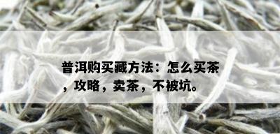 普洱购买藏方法：怎么买茶，攻略，卖茶，不被坑。