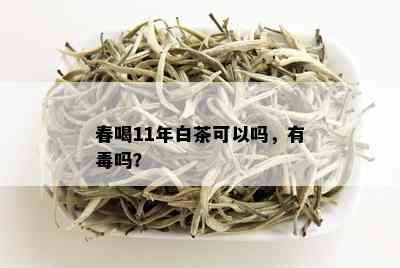 春喝11年白茶可以吗，有吗？