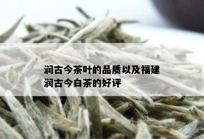 润古今茶叶的品质以及福建润古今白茶的好评