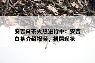 安吉白茶火热进行中：安吉白茶介绍视频，初探现状