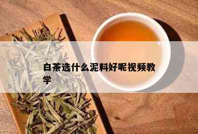 白茶选什么泥料好呢视频教学