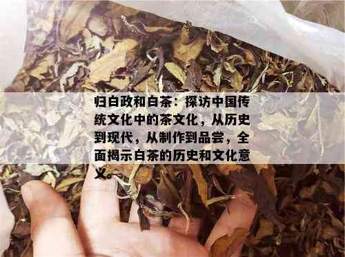 归白政和白茶：探访中国传统文化中的茶文化，从历史到现代，从制作到品尝，全面揭示白茶的历史和文化意义。