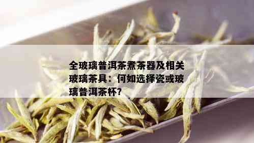 全玻璃普洱茶煮茶器及相关玻璃茶具：何如选择瓷或玻璃普洱茶杯？