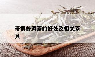 带柄普洱茶的好处及相关茶具