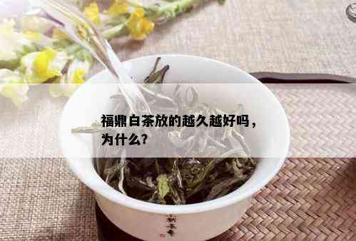 福鼎白茶放的越久越好吗，为什么？