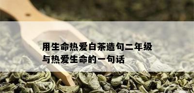 用生命热爱白茶造句二年级与热爱生命的一句话