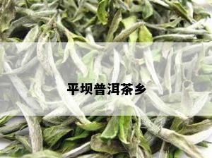 平坝普洱茶乡