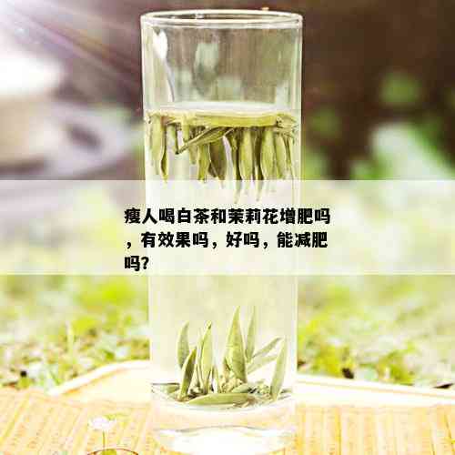 瘦人喝白茶和茉莉花增肥吗，有效果吗，好吗，能减肥吗？