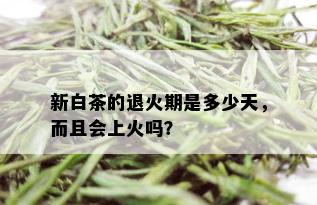 新白茶的退火期是多少天，而且会上火吗？