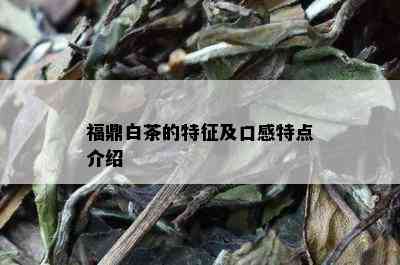 福鼎白茶的特征及口感特点介绍