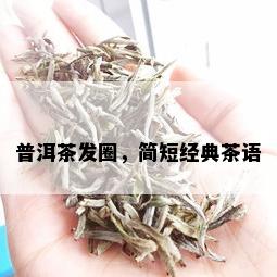 普洱茶发圈，简短经典茶语