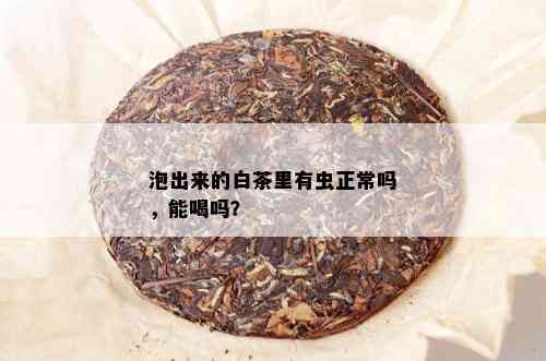 泡出来的白茶里有虫正常吗，能喝吗？