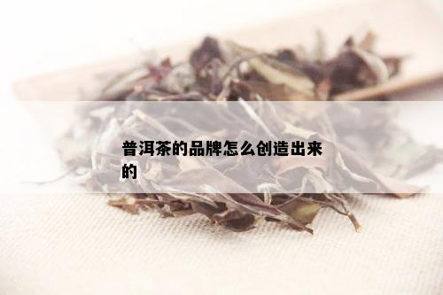 普洱茶的品牌怎么创造出来的