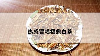 热感冒喝福鼎白茶