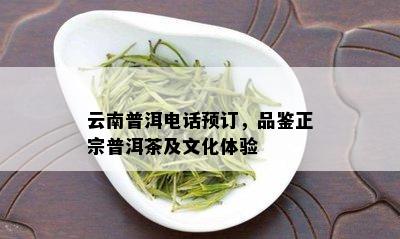 云南普洱电话预订，品鉴正宗普洱茶及文化体验