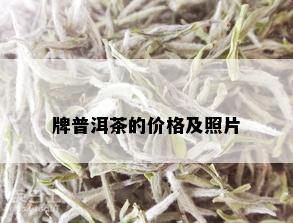 牌普洱茶的价格及照片