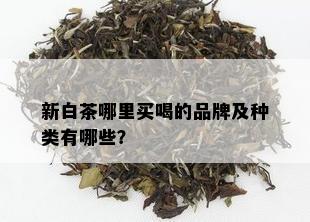 新白茶哪里买喝的品牌及种类有哪些？