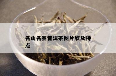 名山名寨普洱茶图片欣及特点