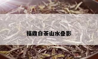 福鼎白茶山水叠影