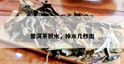 普洱茶脱水，掉水几秒出