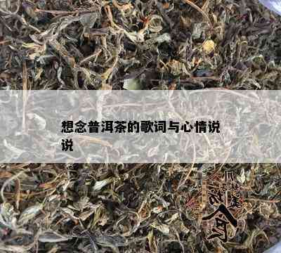 想念普洱茶的歌词与心情说说