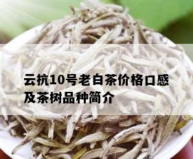 云抗10号老白茶价格口感及茶树品种简介