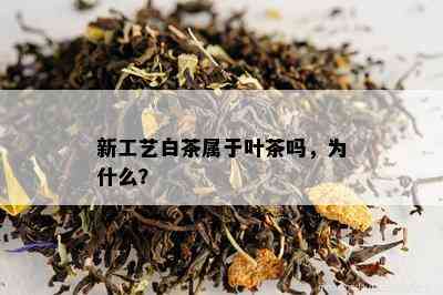 新工艺白茶属于叶茶吗，为什么？