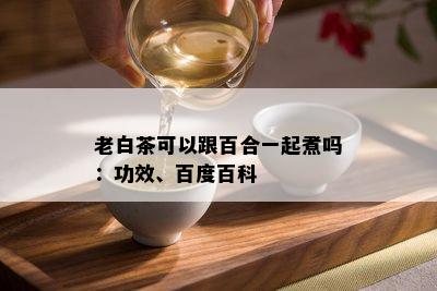 老白茶可以跟百合一起煮吗：功效、百度百科