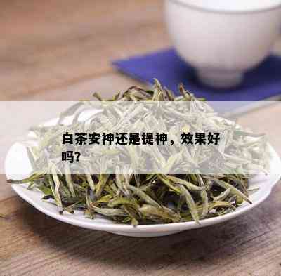 白茶安神还是提神，效果好吗？