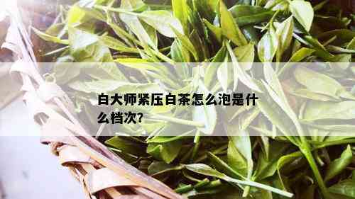 白大师紧压白茶怎么泡是什么档次？