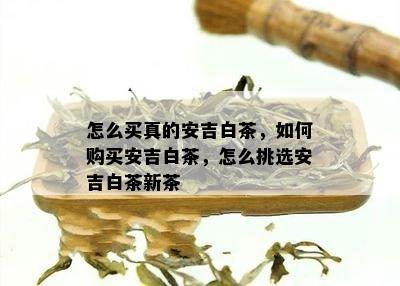 怎么买真的安吉白茶，如何购买安吉白茶，怎么挑选安吉白茶新茶